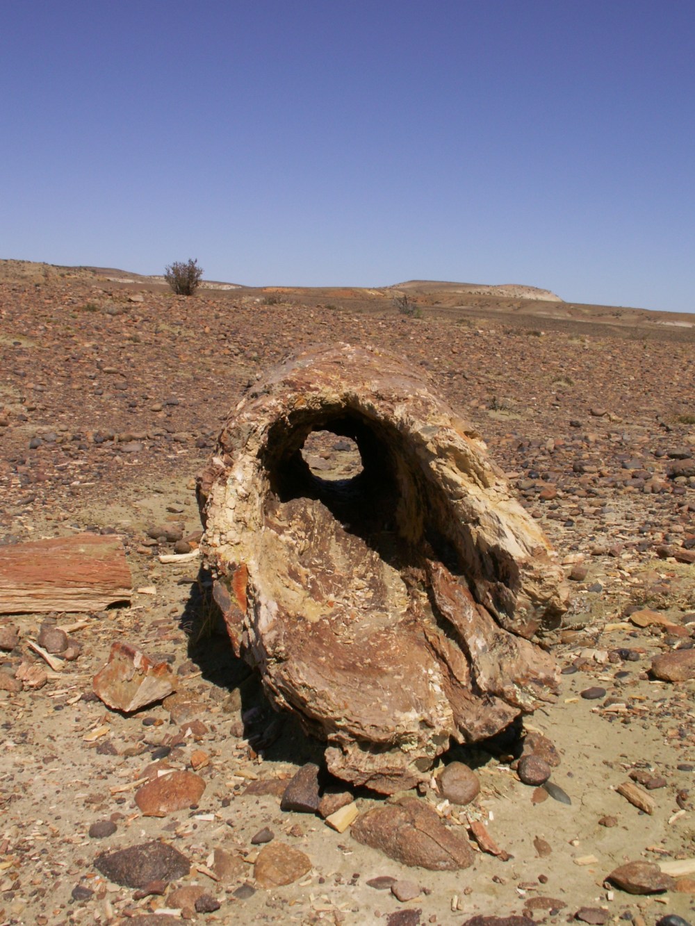 KONICA MINOLTA DIGITAL CAMERA