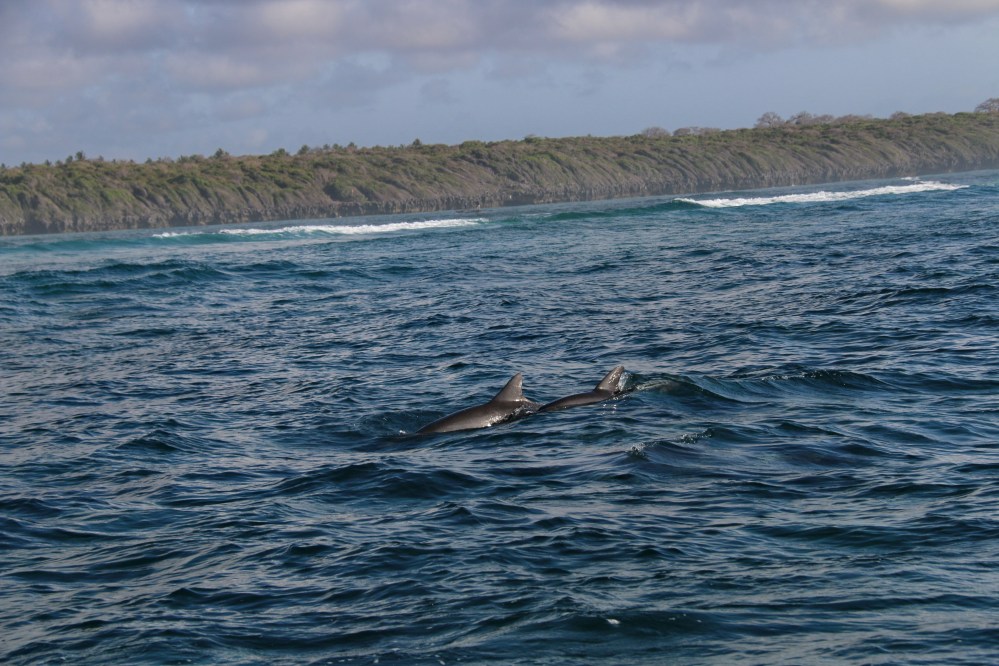 15 lekcja pokory (1) definy w tanzanii